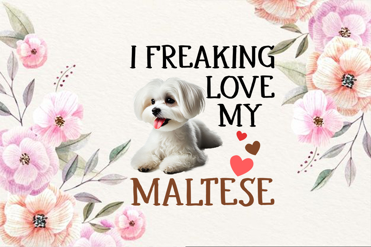 Valentine Day Dog Breeds T-Shirt, a Graphic by T-shirt Pond (Photo 36 of 44)