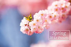 20 Spring Lr Presets