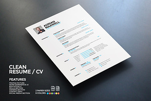 Clean Resume