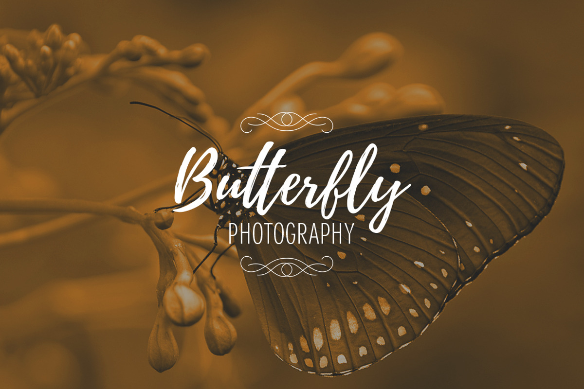 Luxurious Creator -50% off, a Branding & Logo Template by VP Fonts (Photo 9 of 17)
