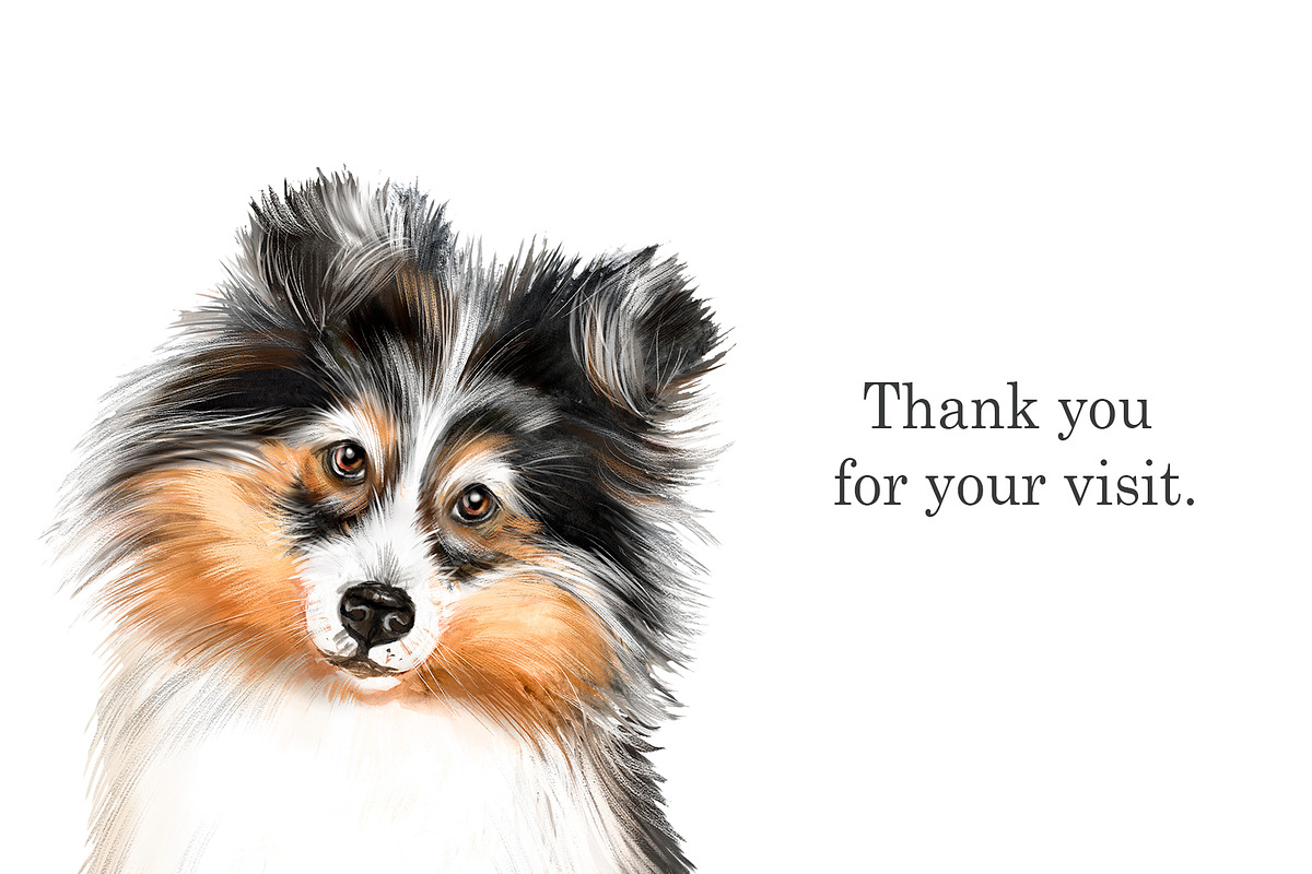 Collie and Sheltie dog set. Dogs art, an Animal Illustration by SavinV (Photo 6 of 6)