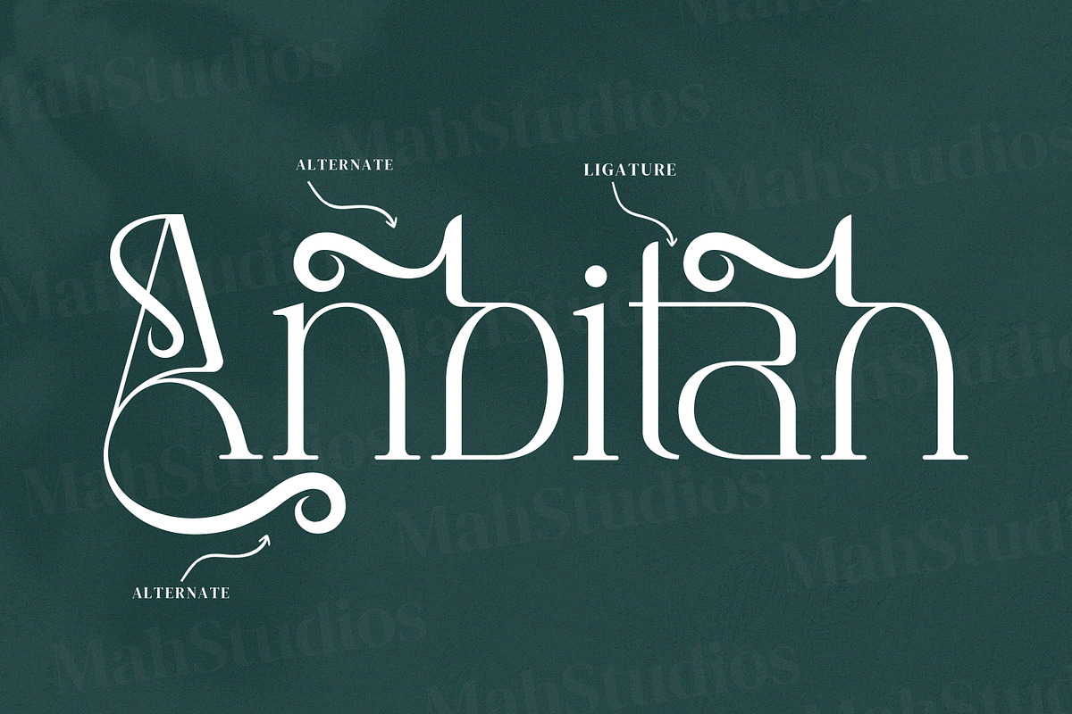 Anbittah Serif Fonts, a Serif Font by mahstudios (Photo 9 of 13)
