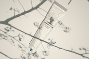 Crumpled Cosmetic Tube Mockup Set, a Product Mockup by Zumrod (Thumbnail 6 of 11)