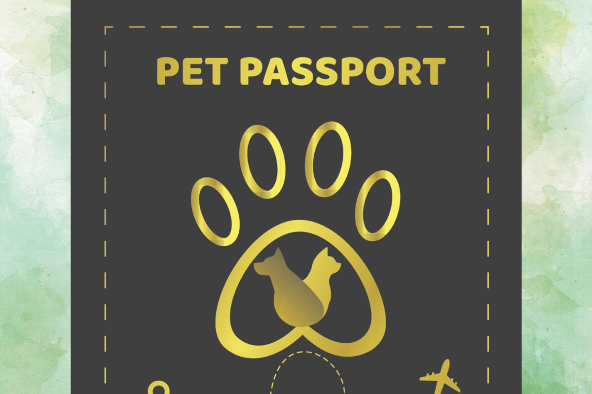 Pet Passport Editable Template, a Print Template by Illustrations By Azmira (Photo 4 of 7)
