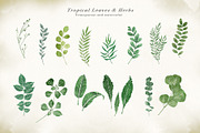 Watercolor & Gold Tropical Leaves, an Object Illustration by Papatongartist (Thumbnail 5 of 10)