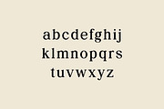 Retroversion Retro Serif Font, a Serif Font by UICreative (Thumbnail 7 of 14)