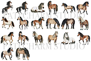 20 Horse Clipart, an Animal Illustration by Pati Charm Studio (Thumbnail 2 of 8)