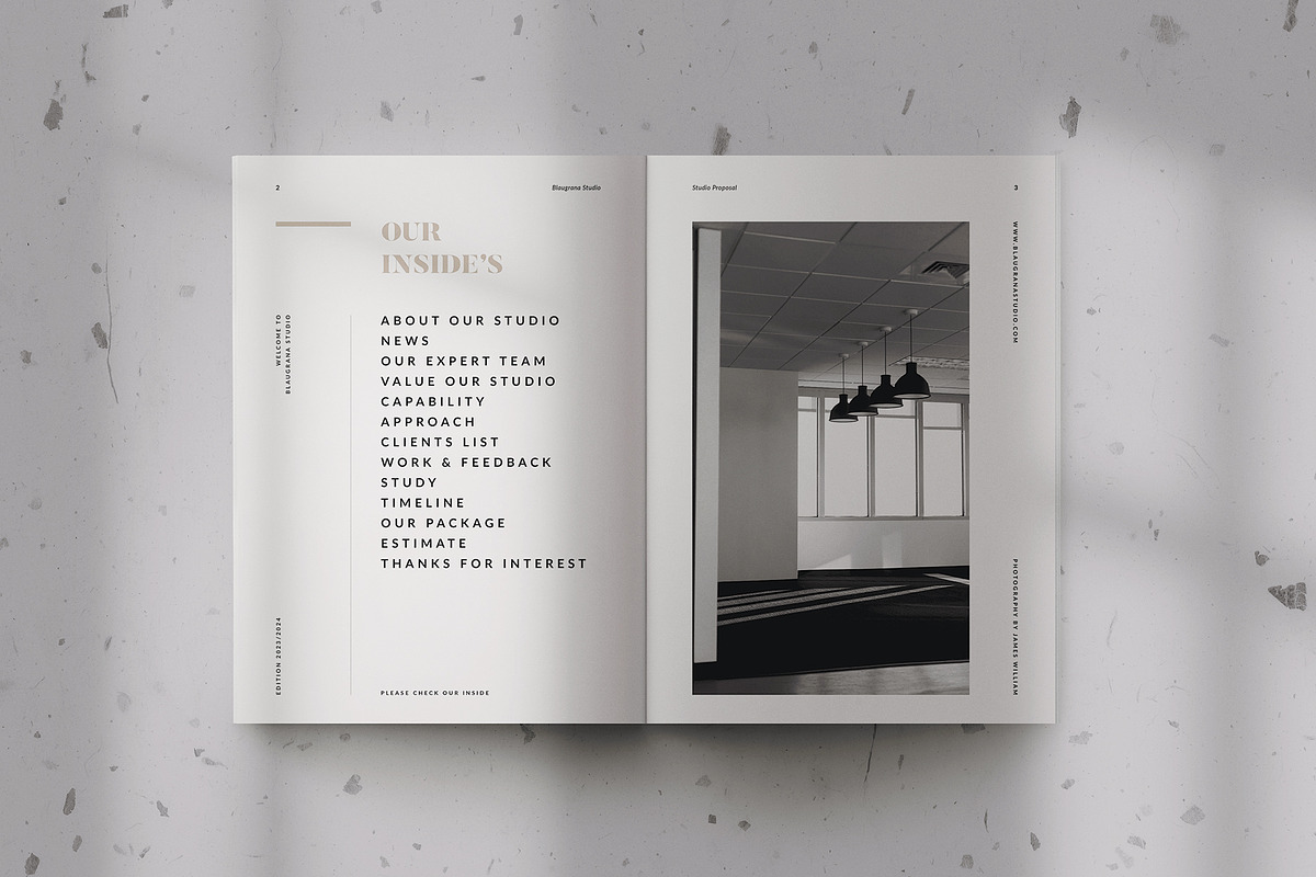 Proposal, a Brochure Template by Occy Design (Photo 2 of 10)