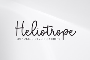 Heliotrope Monoline Stylish Script