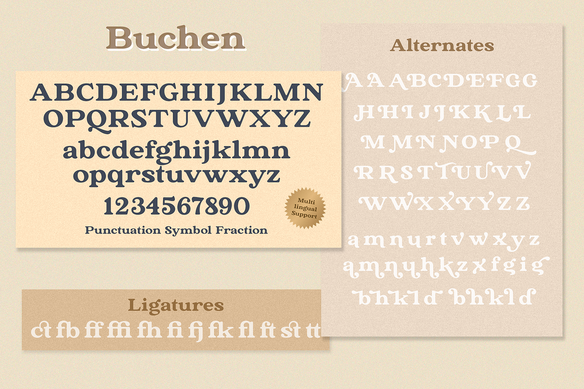 The Buchen, a Serif Font by Larin Type Co. (Photo 13 of 13)