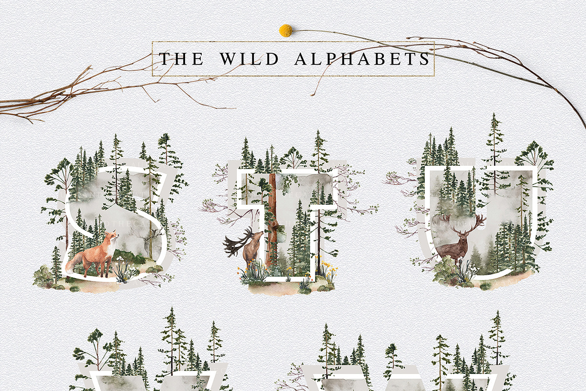 Into The Wild, an Animal Illustration by AurAandTheCat (Photo 4 of 30)