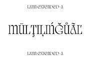 Quelia - Organic Display Font, a Serif Font by Piotr Łapa (Thumbnail 8 of 12)