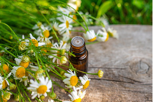 Chamomile for alternative medicine, a Beauty & Fashion Photo by yanadjana