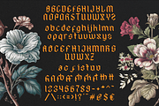 Hyacinth - Modern Blackletter, a Blackletter Font by Dharmas Foundry (Thumbnail 15 of 15)