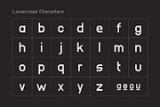Standard Issue: Vintage Sports Font, a Sans Serif Font by ANDR35 (Thumbnail 5 of 9)