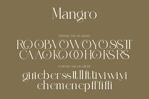 Mangro Elegant Serif Typeface