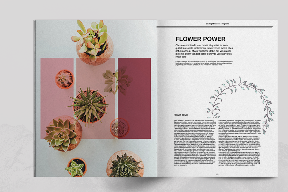 Lifestyle Magazine Layout