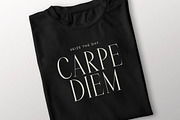 Rastofi Modern Ligature Serif, a Serif Font by Letterena Studios (Thumbnail 11 of 15)
