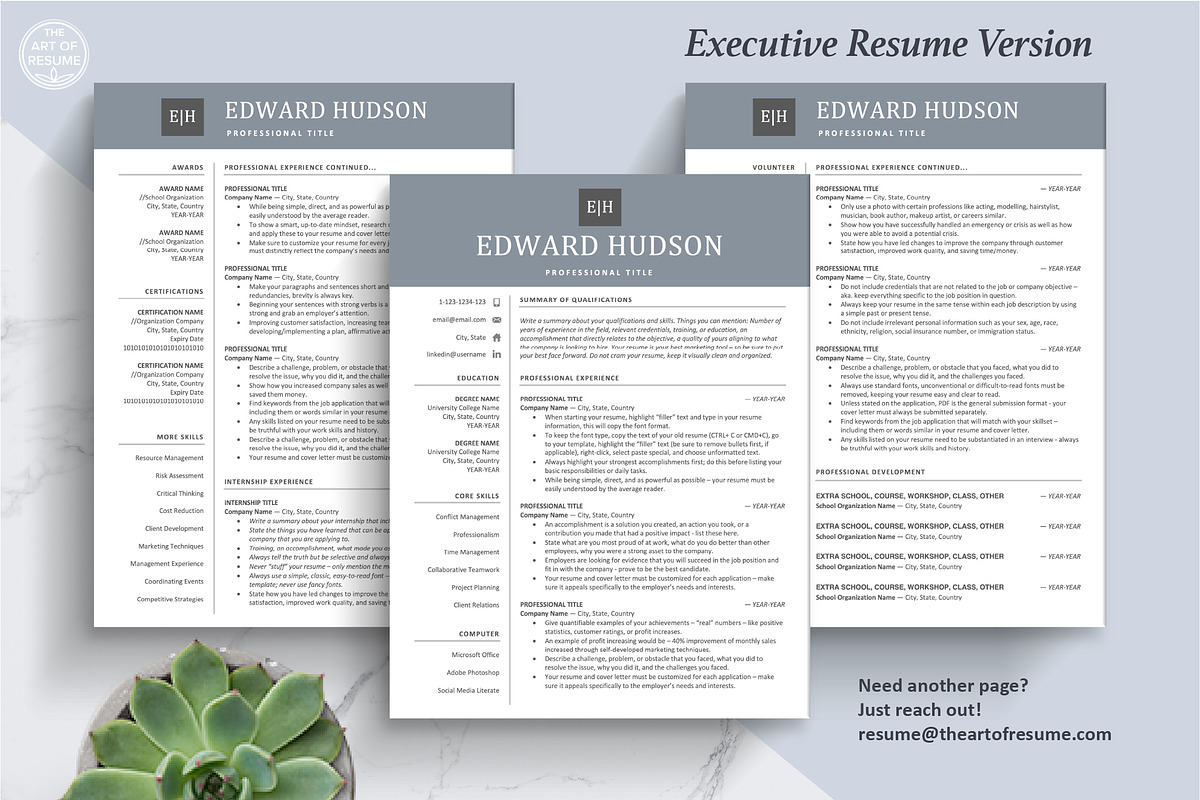 Executive Resume, CV Template, Cover, a Resume Template by The Art of Resume (Photo 5 of 8)