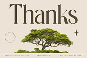 Eternalo Bold Luxury Modern Serif, a Serif Font by timelesstype.co (Thumbnail 20 of 20)