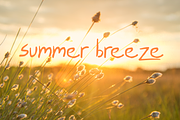 Tritto, a Script Font by Cool Fonts (Thumbnail 2 of 11)