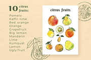 Citrus sketch. Oranges and lemons, a Food Illustration by irina.vaneeva (Thumbnail 4 of 11)