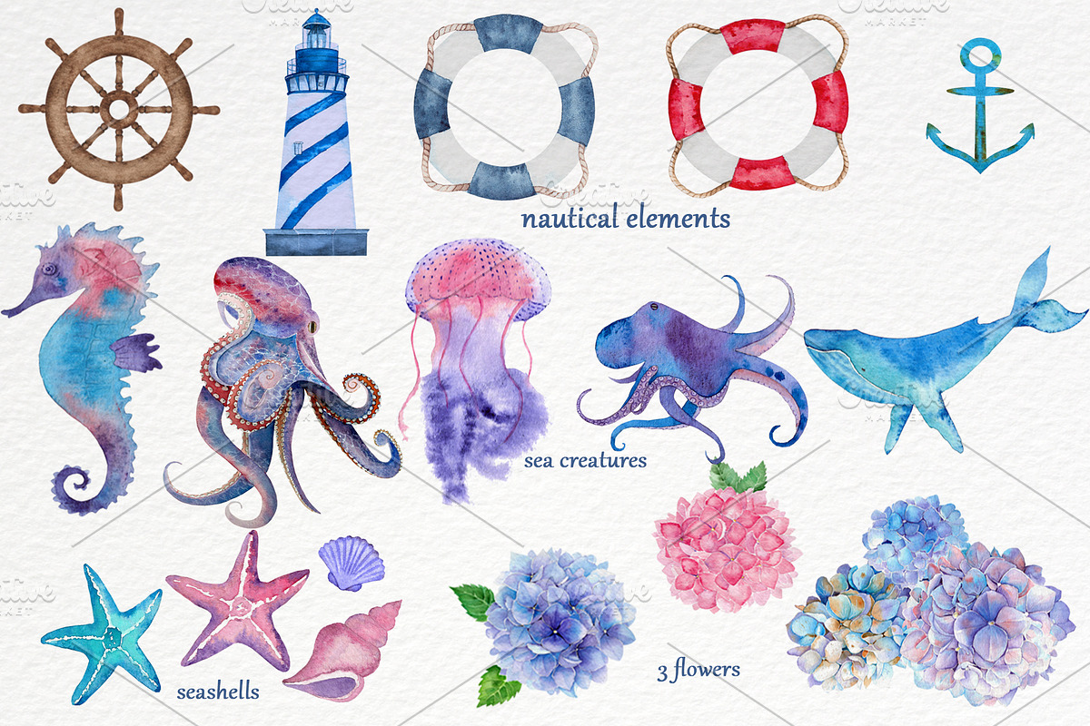 Watercolor nautical set, an Illustration by Pretty light (Photo 2 of 7)