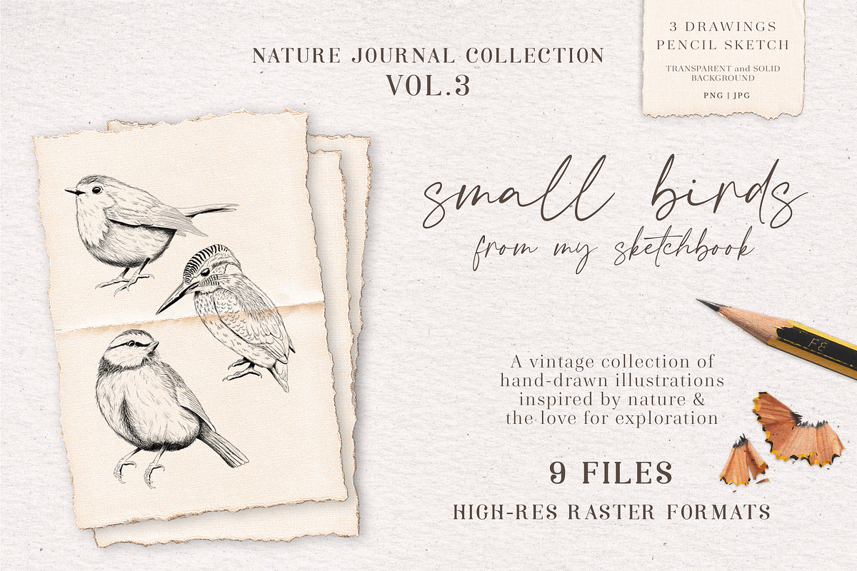 Small Birds hand drawn graphics, an Illustration by Pigment Café (Photo 1 of 4)