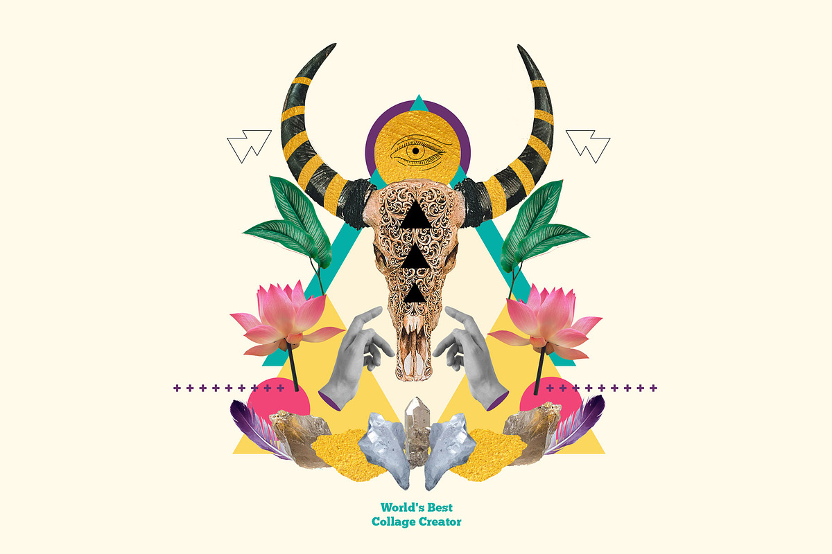 World's Best Collage Creator, an Animal Illustration by SNIPESCIENTIST (Photo 47 of 48)