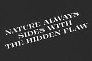 TroxeLMS, a Serif Font by glukfonts (Thumbnail 3 of 9)