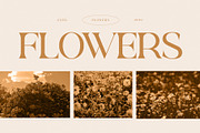 Rowun Elegant Serif Font Typeface, a Serif Font by Perfectype (Thumbnail 4 of 10)