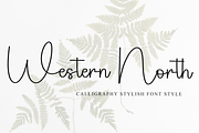 Western North, a Handwritten Font by InermediaSTUDIO (Thumbnail 1 of 8)