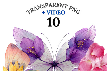 10 Butterfly Clipart PNG, an Animal Illustration by Pati Charm Studio