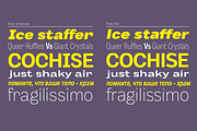 Body - 64 fonts, a Sans Serif Font by Zetafonts (Thumbnail 2 of 12)