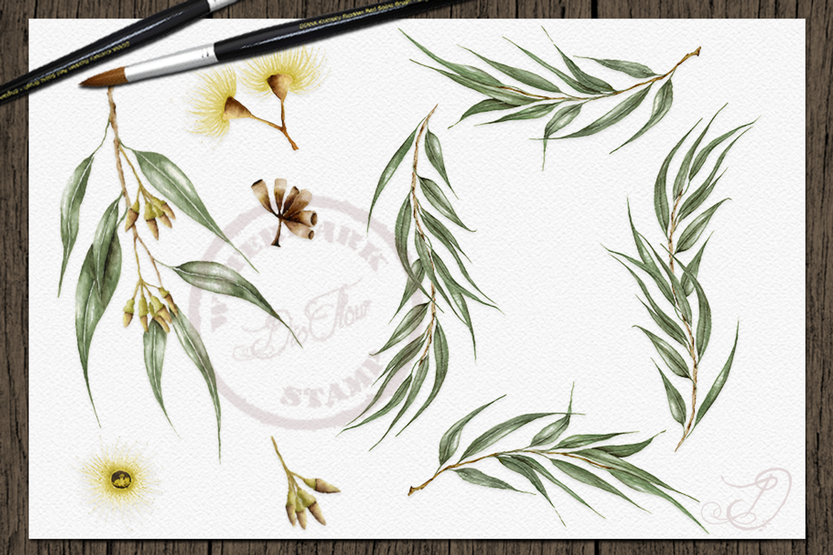 Willow Eucalyptus Illustration, a Decorative Illustration by DioFlow (Photo 5 of 5)