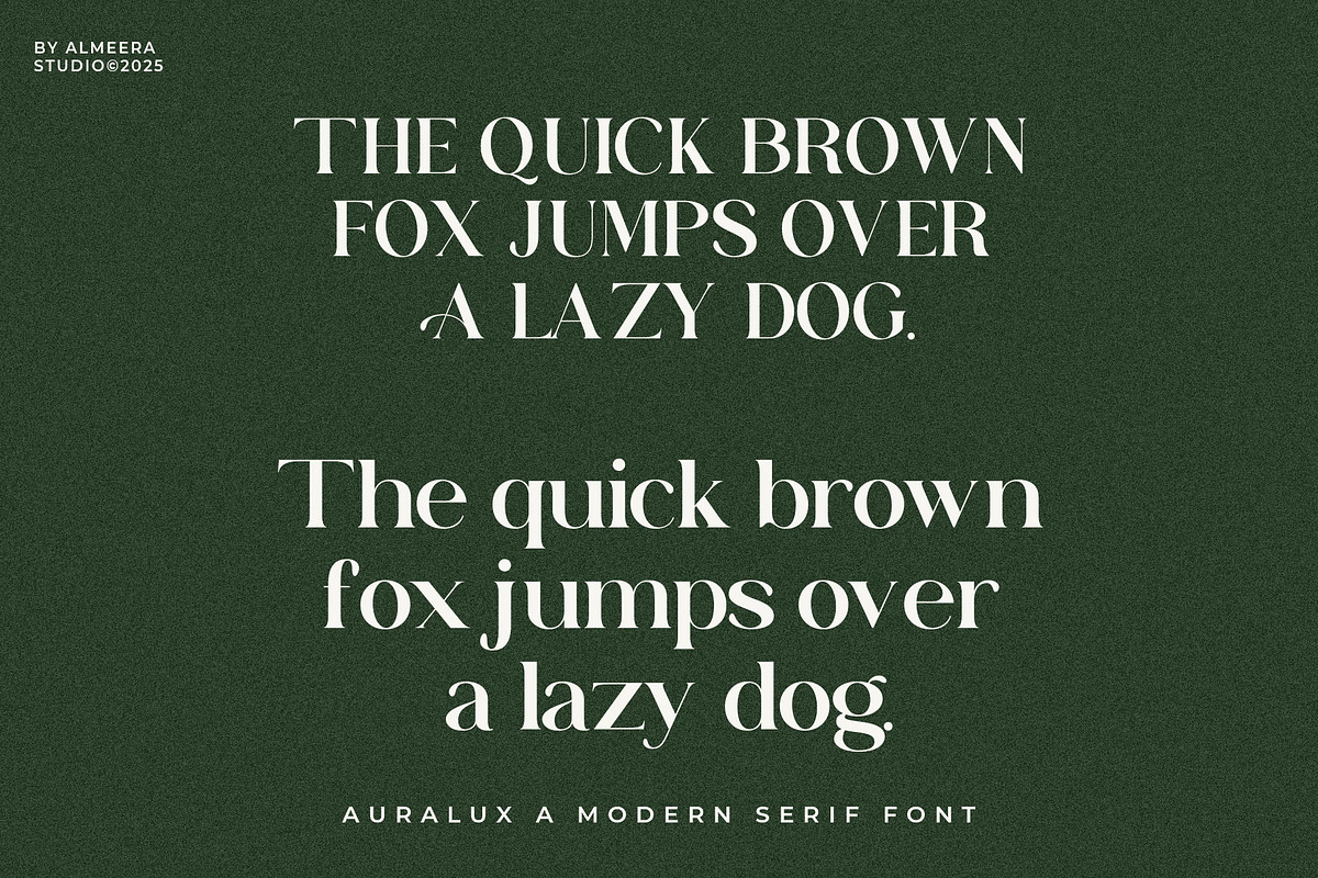 Auralux - Modern Serif Font, a Serif Font by Almeera Std (Photo 5 of 5)