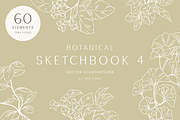 Botanical Sketch Vector Illustration, a Decorative Illustration by Emma Webb Studio (Thumbnail 1 of 7)