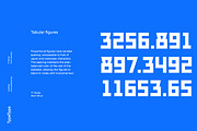 TT Bricks, a Sans Serif Font by TypeType (Thumbnail 3 of 13)