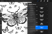 Butterfly moths bugs Procreate Stamp, a Brush Add-On by MakeMyPlaceDesign (Thumbnail 3 of 3)
