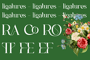 GLAMOUR BRAINS - By Haksen, a Serif Font by Haksen (Thumbnail 16 of 17)