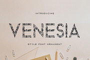 Venesia, a Sans Serif Font by edcreative (Thumbnail 1 of 6)