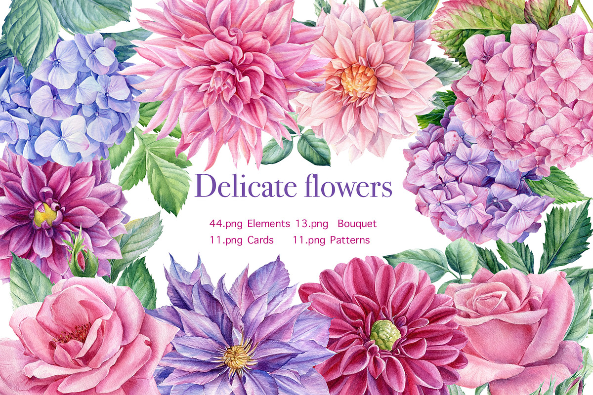 Delicate flowers, a Decorative Illustration by Hanna Hryharenka (Photo 13 of 13)