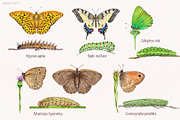 Watercolor butterflies, an Illustration by Green_leaf_17 (Thumbnail 3 of 6)