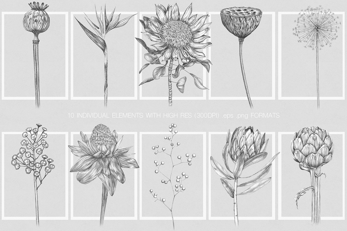 Luxury Vintage Exotic Collection, a Pattern Graphic by Alisa Fimen Design (Photo 12 of 12)