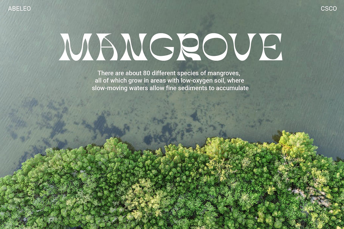 Abeleo – Funky Font, a Serif Font by Craft Supply Co. (Photo 6 of 8)