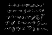 Procreate Calligraphy Flourish Stamp, a Brush Add-On by An Inkling Of Curry (Thumbnail 2 of 4)