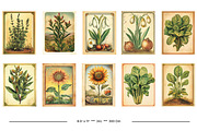 Vintage Garden Packets, a Seasonal Illustration by karenfoleyphoto (Thumbnail 14 of 15)