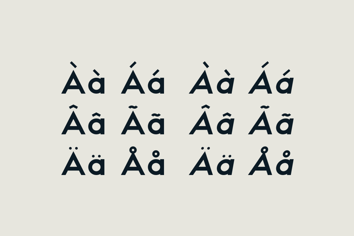 HAUS Sans Bold preview 4