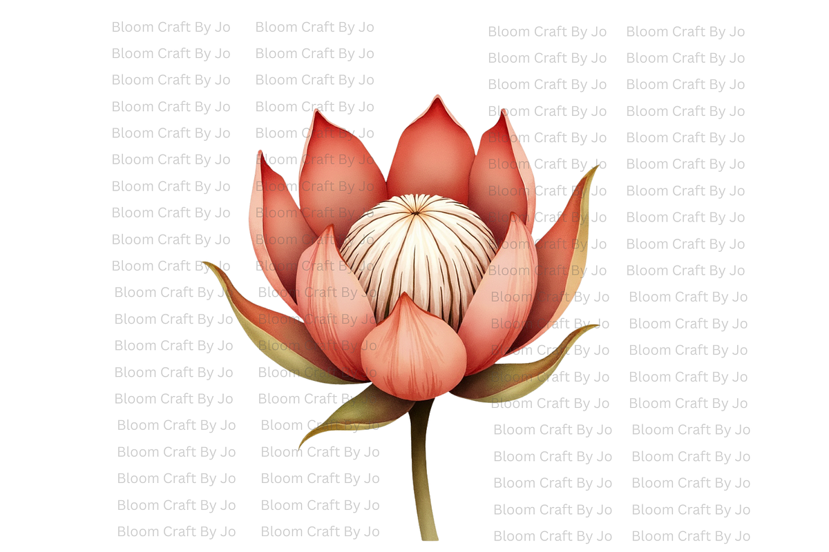 Dried Protea Bloom, a Decorative Illustration by Bloom Craft Creations (Photo 3 of 10)