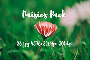 Daisies Pack, a Templates & Theme by ApertureVintage (Thumbnail 8 of 14)